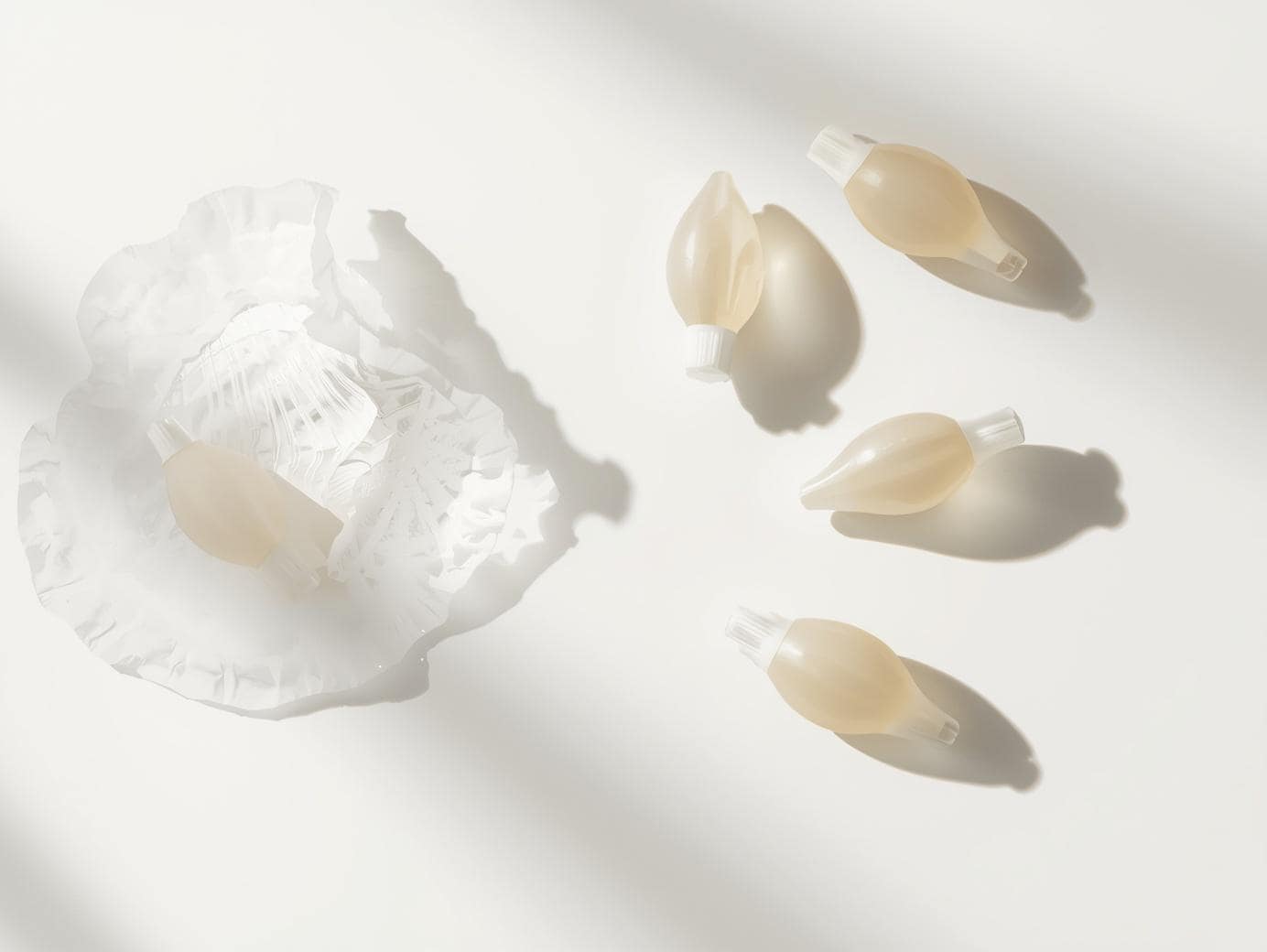 Polydine 12 pcs israel